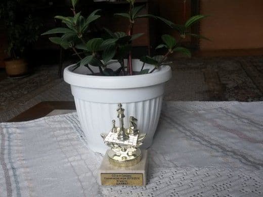 Спортни постижения за учебната 2015/2016г. — 1